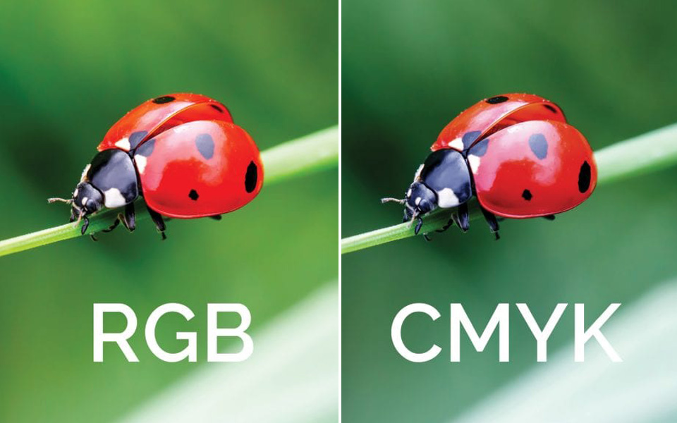 Sự khác biệt giữa hệ màu RGB và CMYK