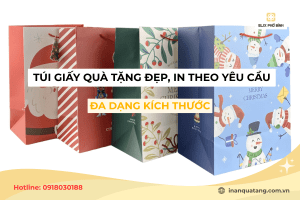 Túi giấy quà tặng đẹp, in theo yêu cầu với nhiều kích thước