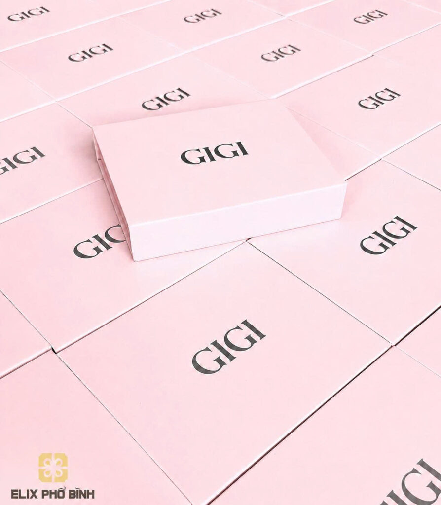 Hộp nam châm thời trang cao cấp Gigi