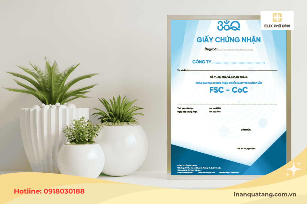 Chứng nhận FSC dành cho các doanh nghiệp đáp ứng tiêu chuẩn về quản lý rừng bền vững và chuỗi hành trình sản phẩm