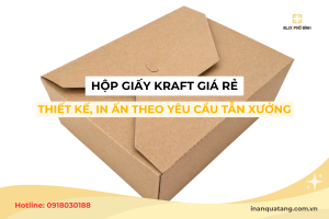 Hộp giấy Kraft giá rẻ - Thiết kế, in ấn theo yêu cầu tận xưởng