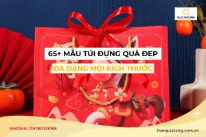 65+ Mẫu túi đựng quà đẹp, đa dạng mọi kích thước