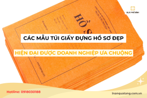 Các mẫu túi giấy đựng hồ sơ đẹp, hiện đại được doanh nghiệp ưa chuộng