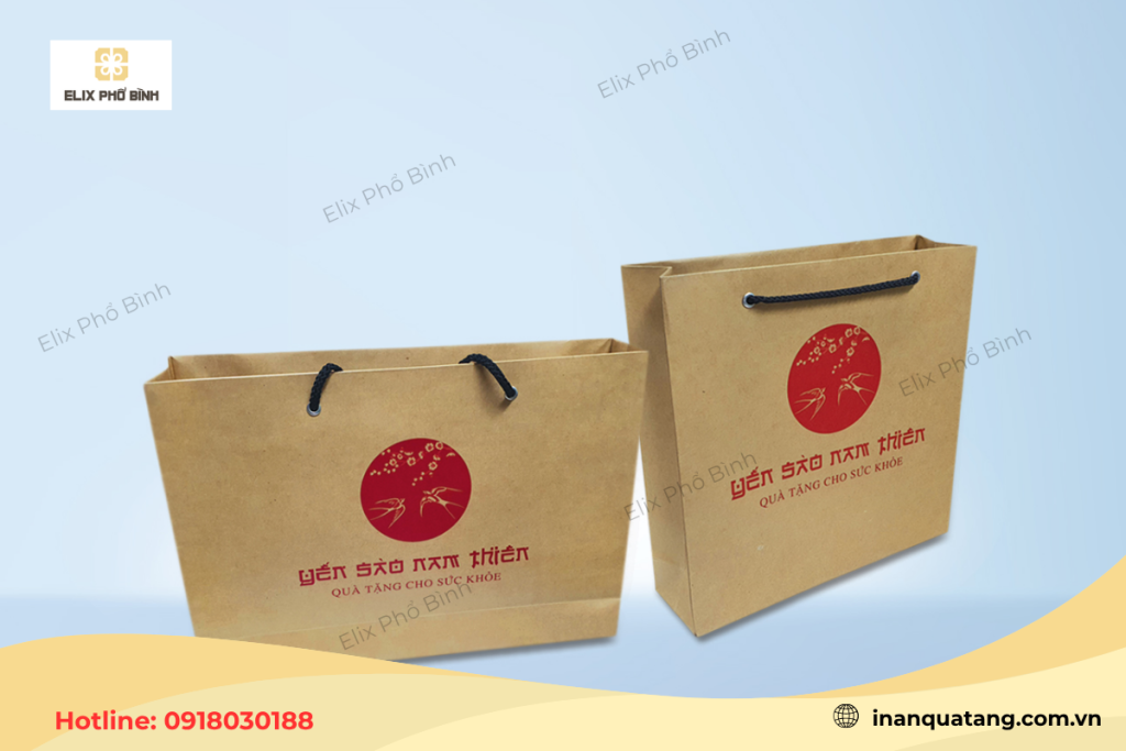 Mẫu túi giấy Kraft đựng quần áo 