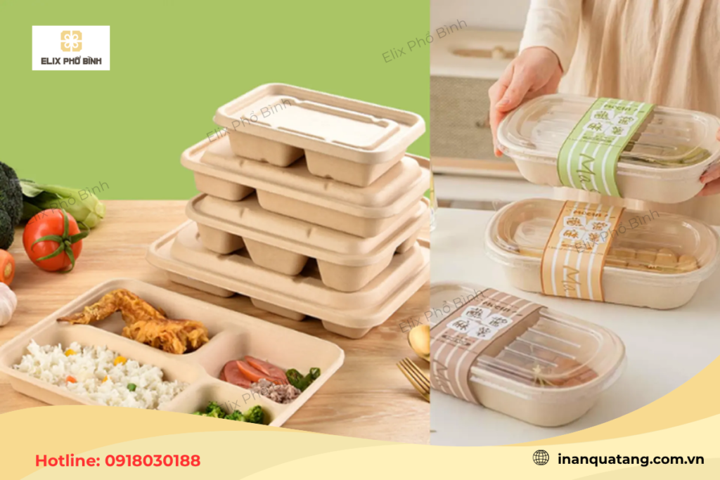 Hộp bã mía được ứng dụng làm hộp đựng thức ăn
