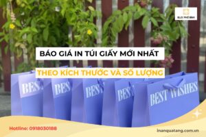 Báo giá in túi giấy chi tiết theo kích thước và số lượng