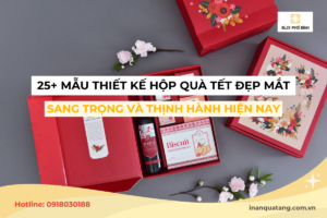 25+ Mẫu thiết kế hộp quà tết đẹp mắt, sang trọng và thịnh hành hiện nay
